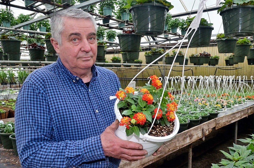 A member of the Zerrillo family holding a hanging basket of flowers inside the greenhouse